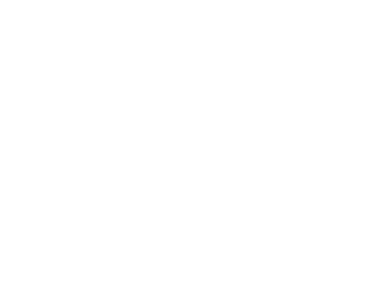 cfmoto