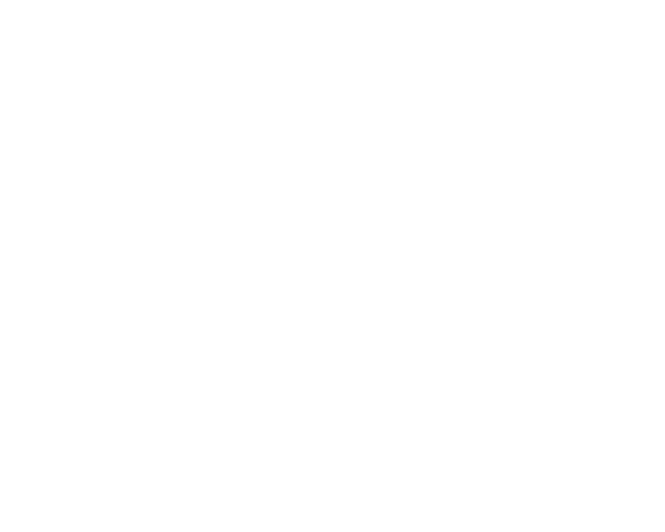 zmoto